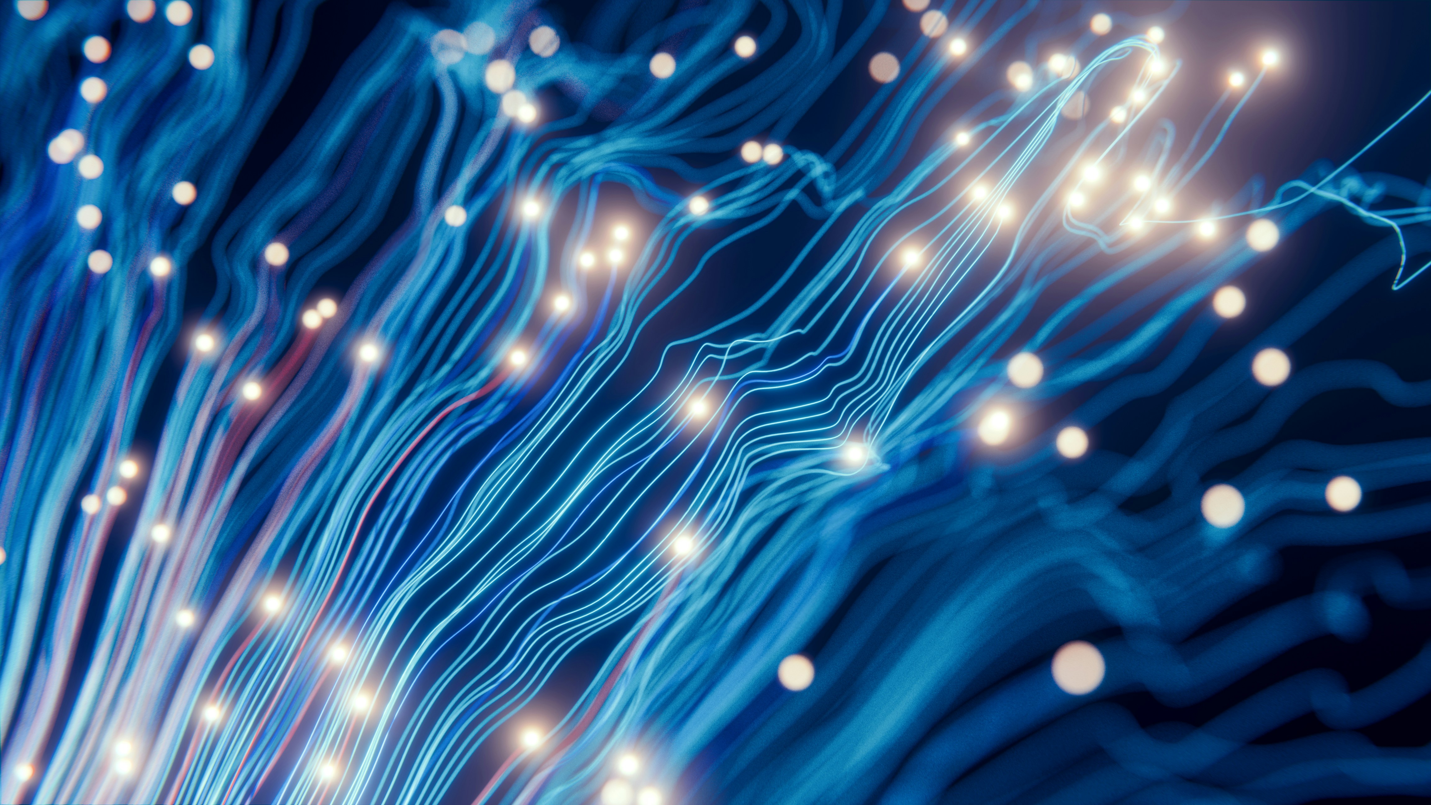 AI search and local business discoverability